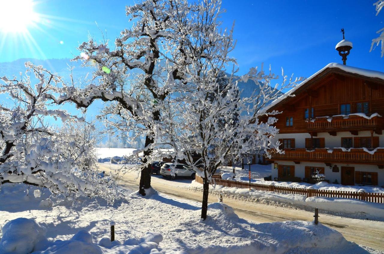 Kleintoedlinggut Villa Leogang Dış mekan fotoğraf