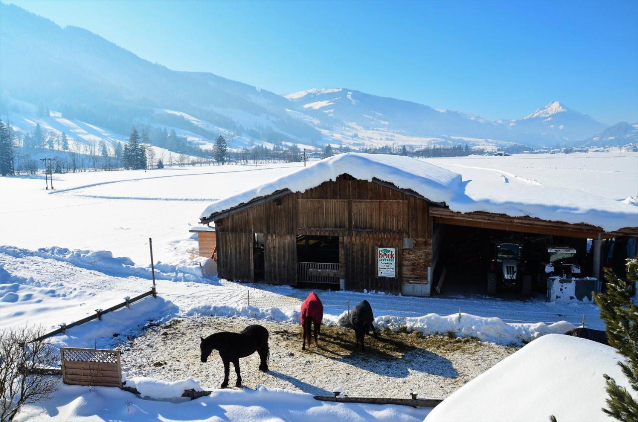 Kleintoedlinggut Villa Leogang Dış mekan fotoğraf