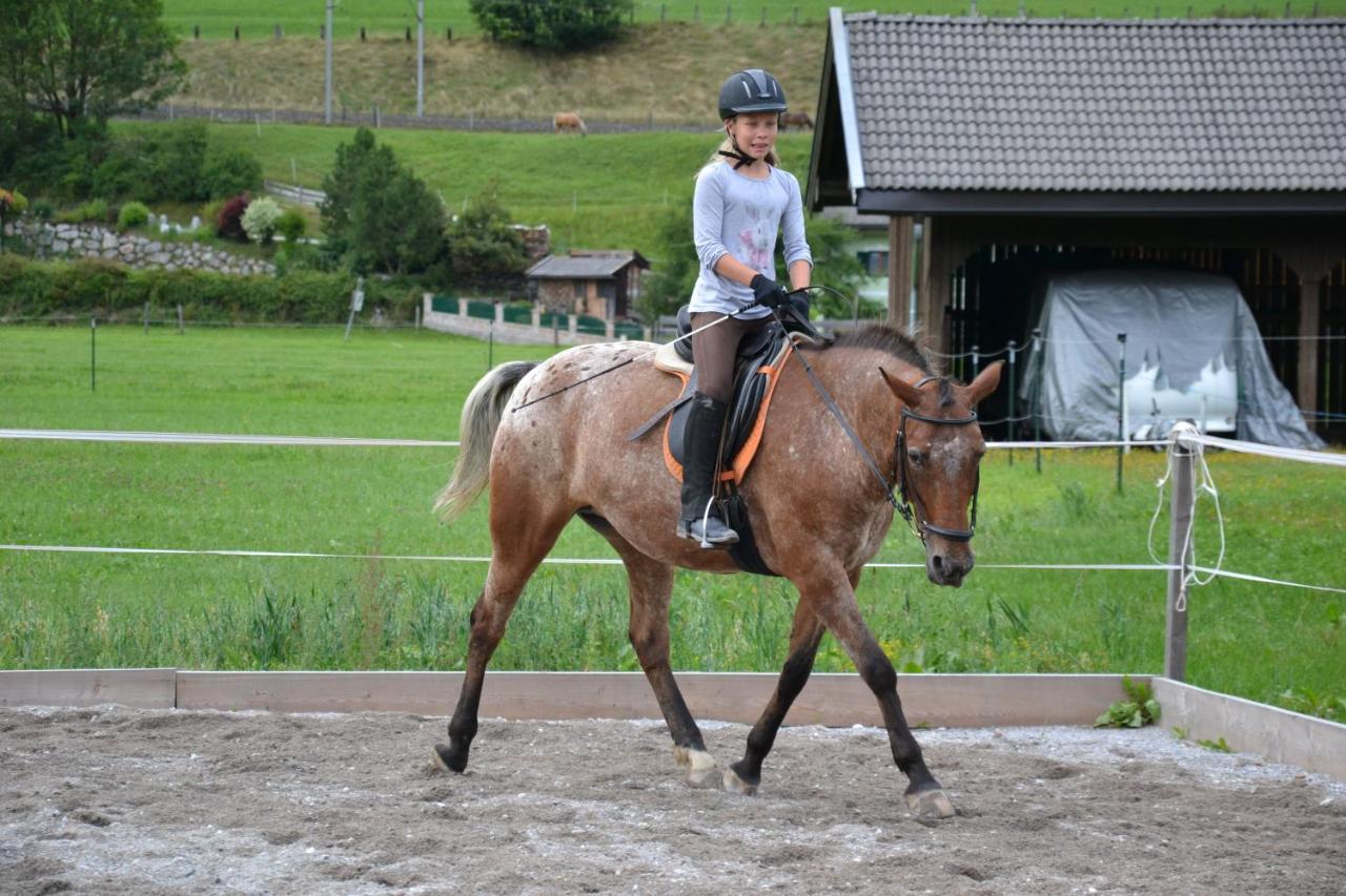 Kleintoedlinggut Villa Leogang Dış mekan fotoğraf