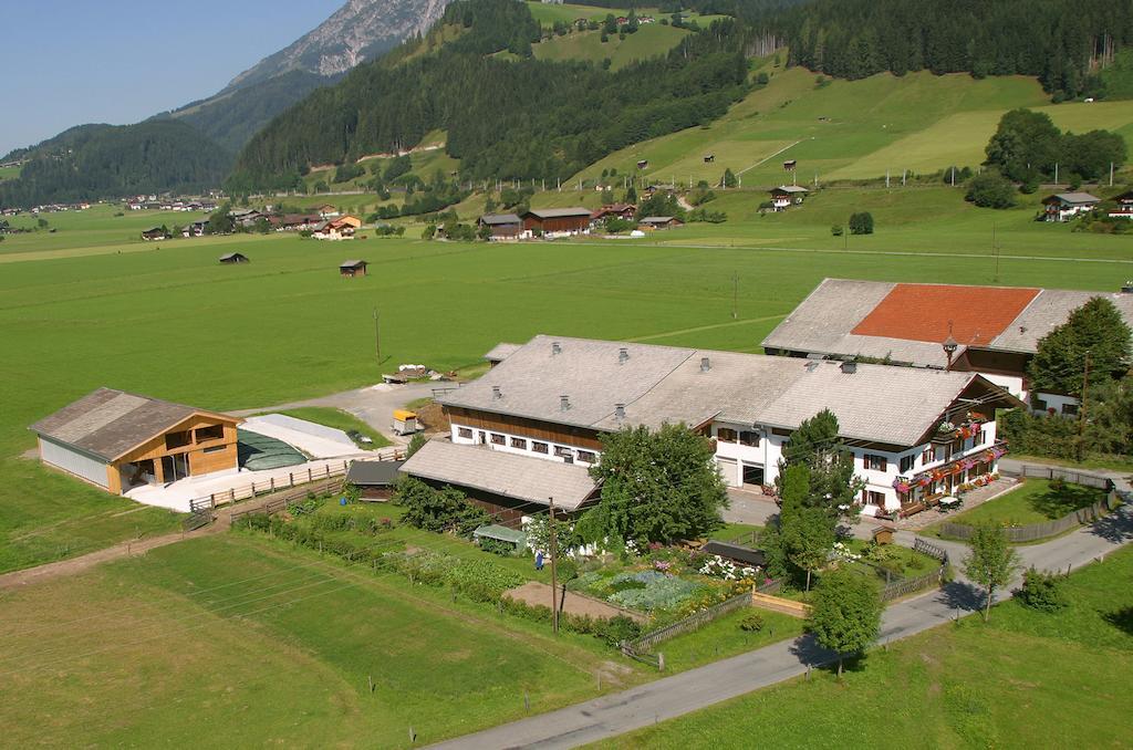 Kleintoedlinggut Villa Leogang Dış mekan fotoğraf