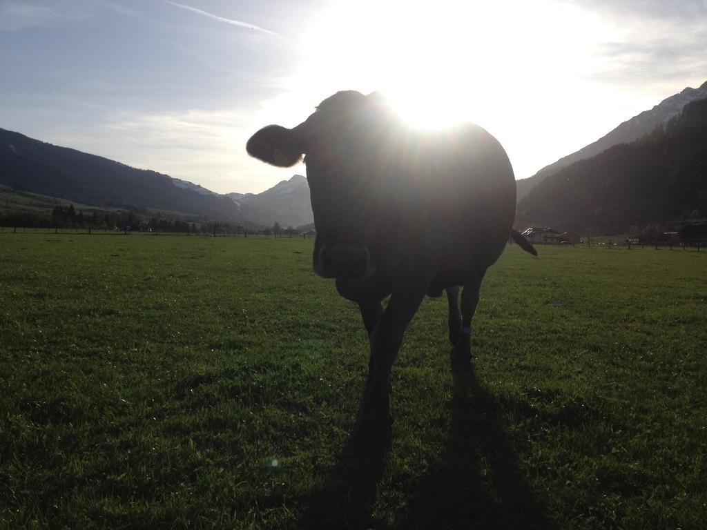 Kleintoedlinggut Villa Leogang Dış mekan fotoğraf