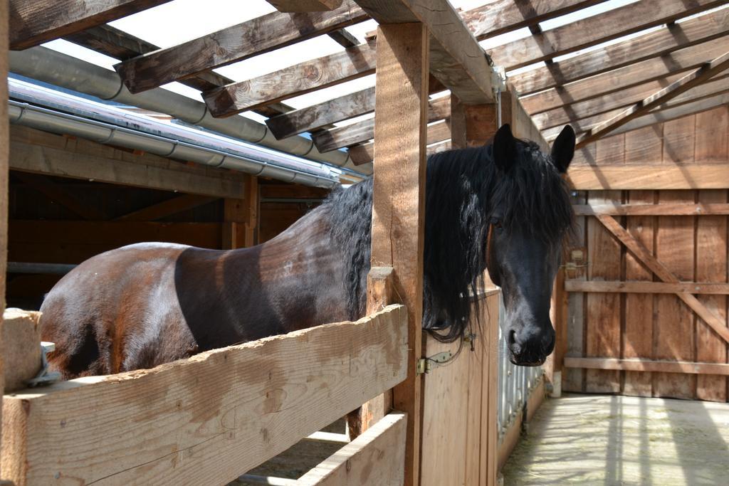 Kleintoedlinggut Villa Leogang Dış mekan fotoğraf